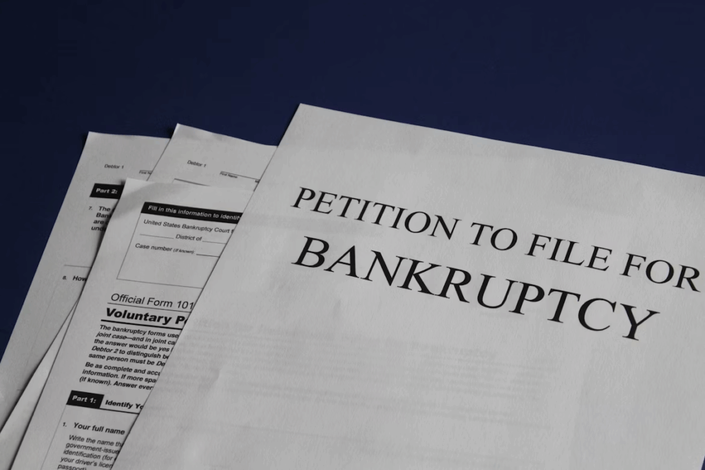 Petition to file for bankruptcy documents